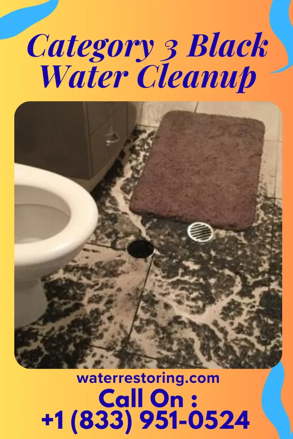 Category 3 Black Water Cleanup in Portage Des Sioux, MO