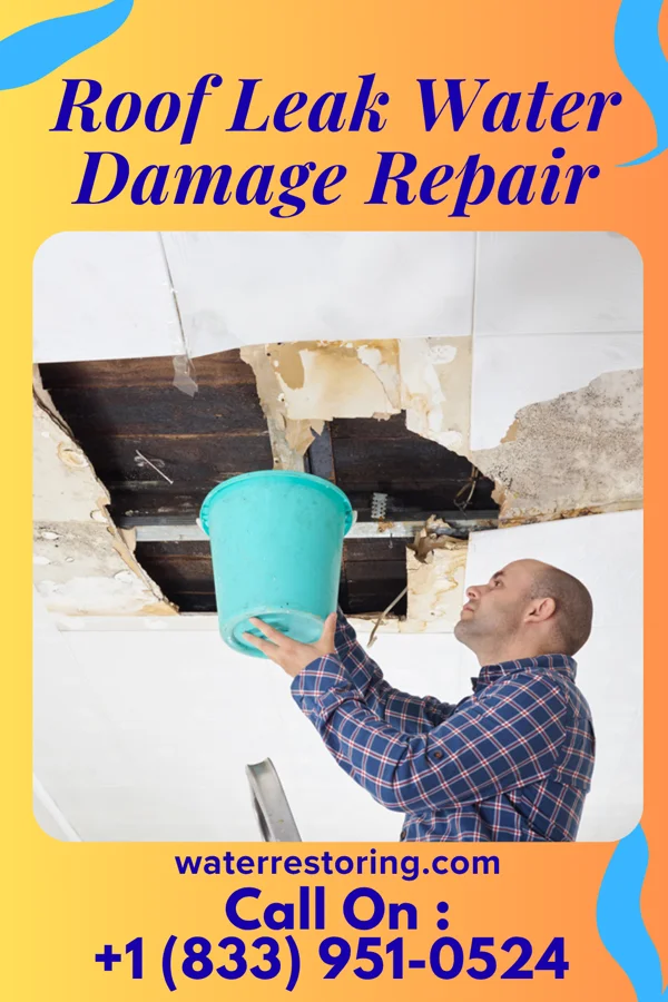 Roof Leak Water Damage Repair in Portage Des Sioux, MO
