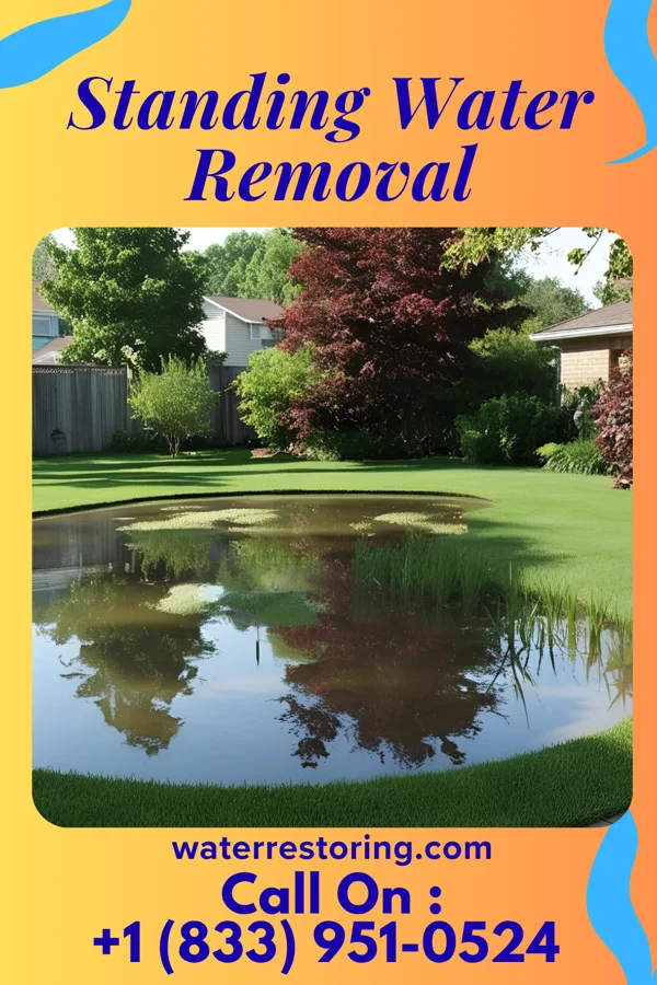 Standing Water Removal in Portage Des Sioux, MO